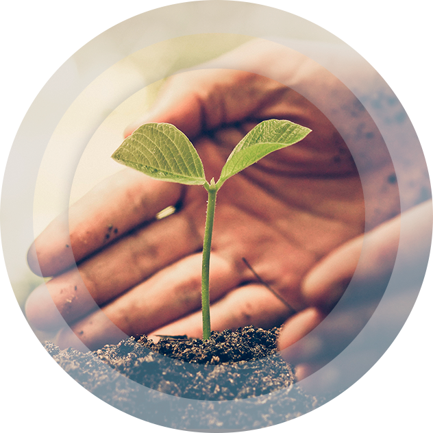 Responsabilidade Ambiental